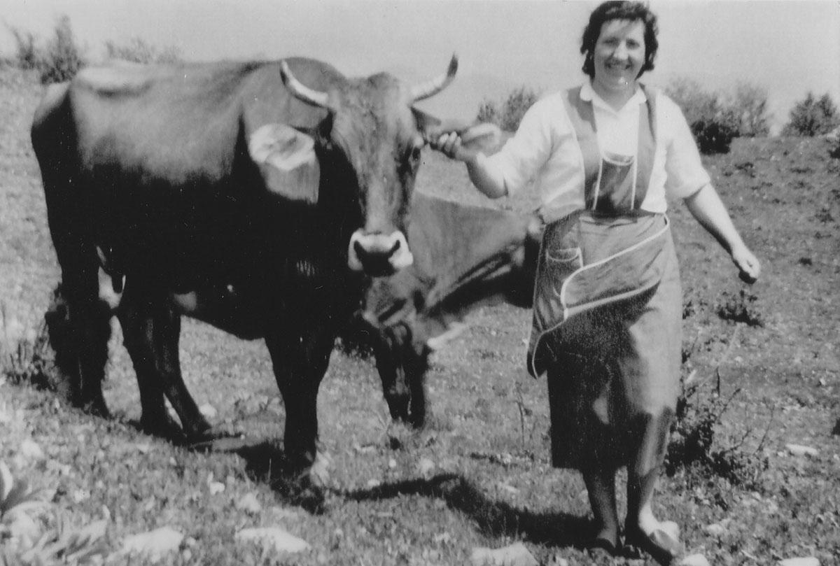 Salita al pascolo Archivio Biblioteca comunale di Valvestino